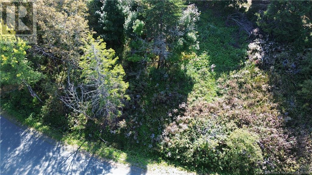 Vacant Land Cote Bleue Drive, Bathurst, New Brunswick  E2A 4C9 - Photo 2 - NB120569