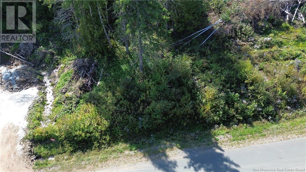 Vacant Lot Cote Bleue Drive, Bathurst, New Brunswick  E2A 4C9 - Photo 1 - NB120549