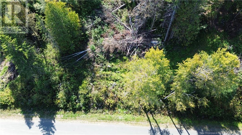 Vacant Lot Cote Bleue Drive, Bathurst, New Brunswick  E2A 4C9 - Photo 2 - NB120549