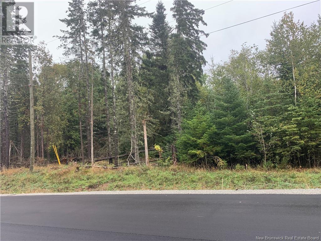 15 Carlingford, Quispamsis, New Brunswick  E2G 1Y8 - Photo 3 - NB120682