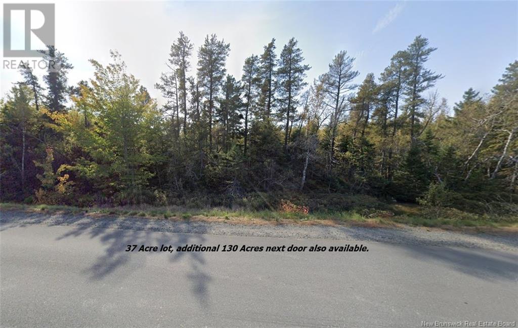 Lot Rte 117 Hardwicke, Hardwicke, New Brunswick  E9A 1J9 - Photo 1 - NB120701