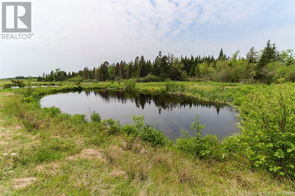 70 Shore Road, Bains Corner, New Brunswick  E5R 1S8 - Photo 10 - NB120700