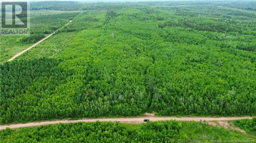 Harrison Settlement, Parkindale, New Brunswick  E4J 1P2 - Photo 10 - NB120698
