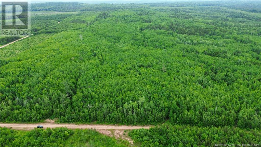 Harrison Settlement, Parkindale, New Brunswick  E4J 1P2 - Photo 11 - NB120698