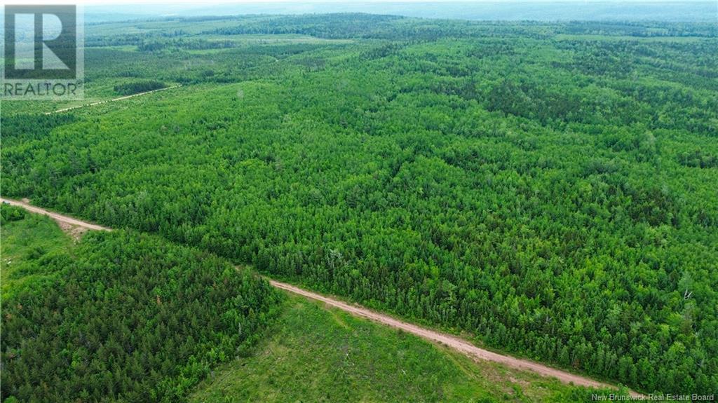 Harrison Settlement, Parkindale, New Brunswick  E4J 1P2 - Photo 13 - NB120698