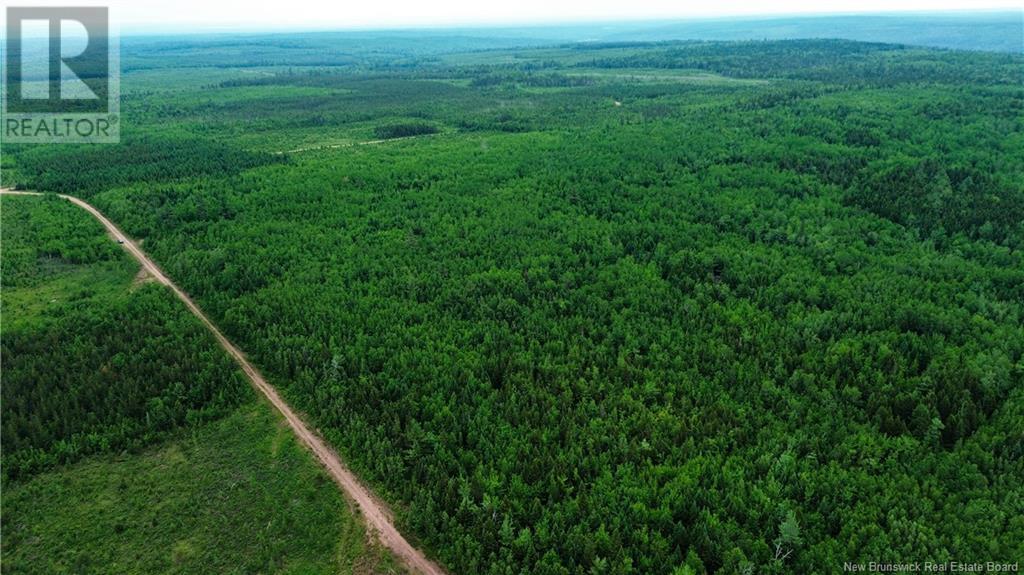 Harrison Settlement, Parkindale, New Brunswick  E4J 1P2 - Photo 14 - NB120698