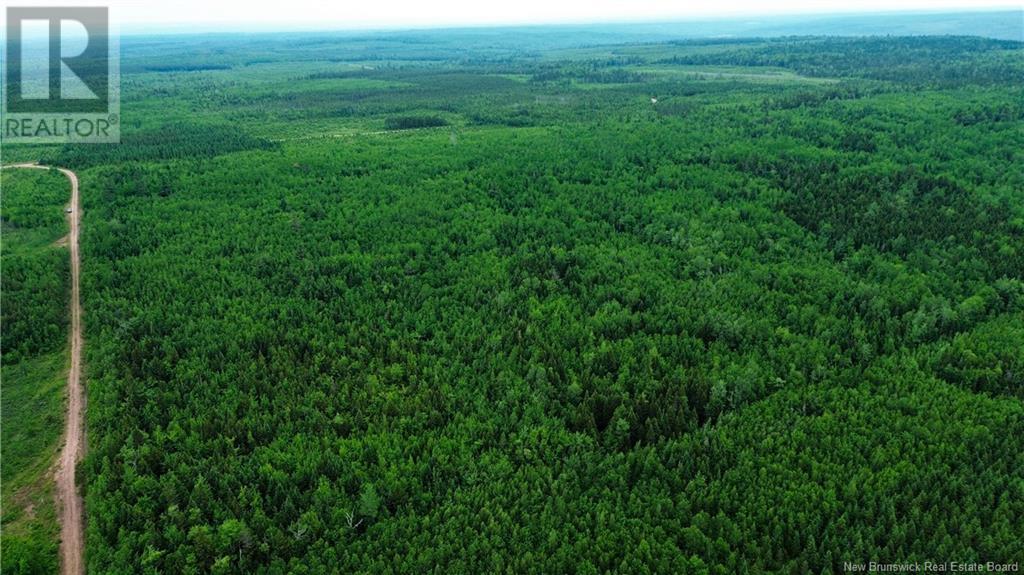 Harrison Settlement, Parkindale, New Brunswick  E4J 1P2 - Photo 15 - NB120698