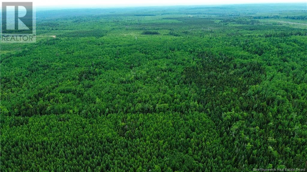 Harrison Settlement, Parkindale, New Brunswick  E4J 1P2 - Photo 16 - NB120698