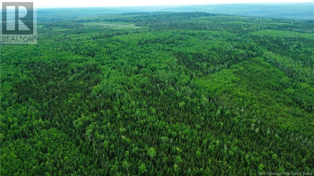 Harrison Settlement, Parkindale, New Brunswick  E4J 1P2 - Photo 17 - NB120698