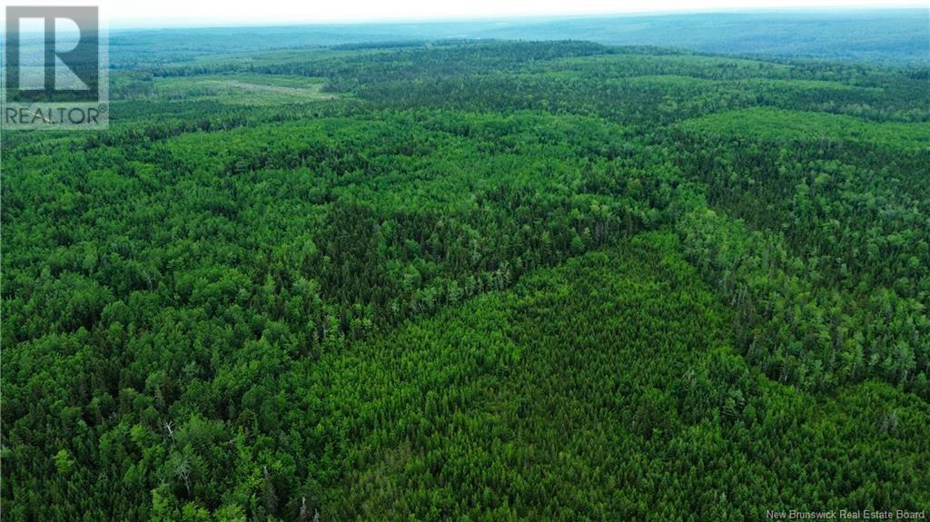 Harrison Settlement, Parkindale, New Brunswick  E4J 1P2 - Photo 18 - NB120698