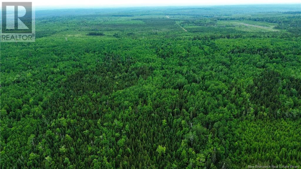 Harrison Settlement, Parkindale, New Brunswick  E4J 1P2 - Photo 19 - NB120698