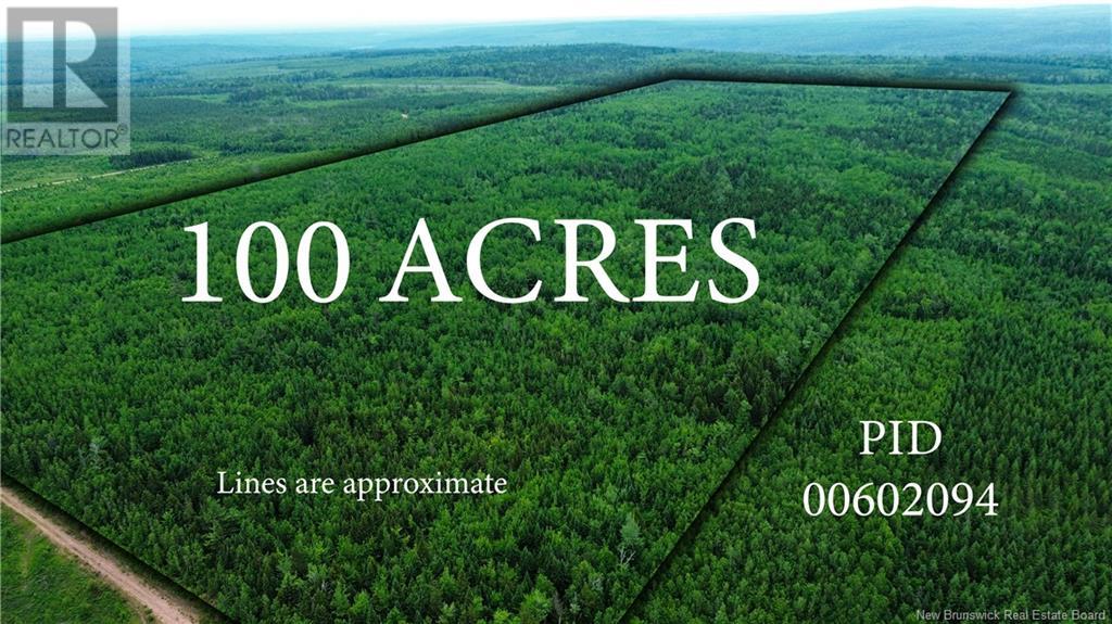 Harrison Settlement, Parkindale, New Brunswick  E4J 1P2 - Photo 2 - NB120698