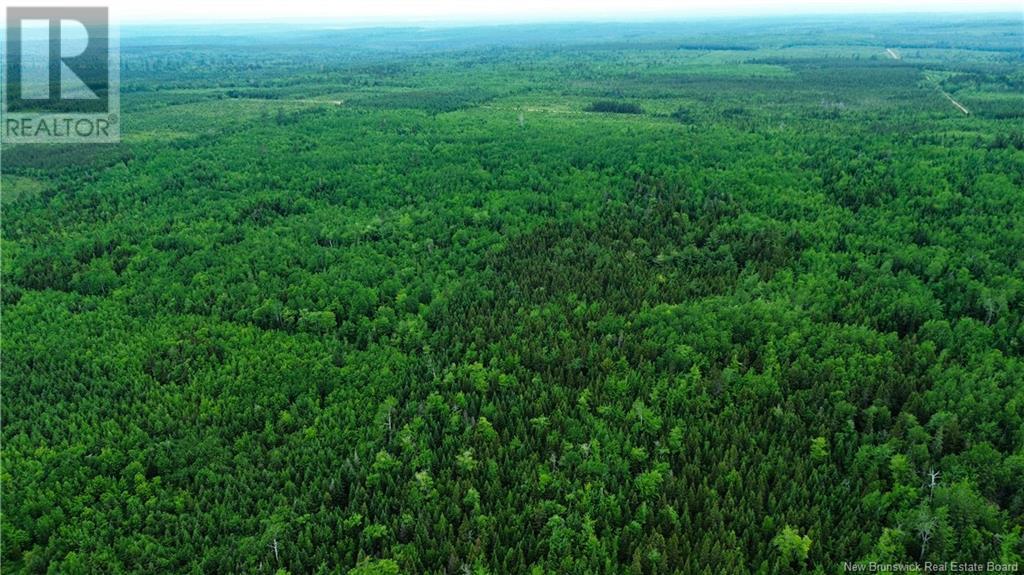 Harrison Settlement, Parkindale, New Brunswick  E4J 1P2 - Photo 20 - NB120698