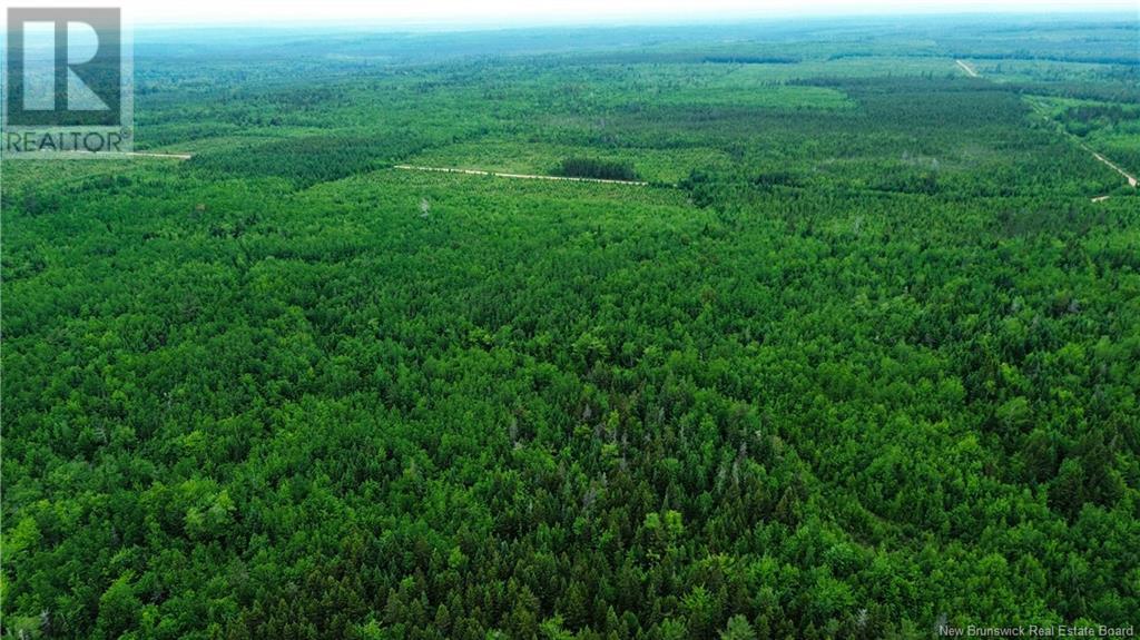 Harrison Settlement, Parkindale, New Brunswick  E4J 1P2 - Photo 22 - NB120698