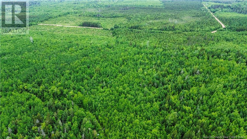 Harrison Settlement, Parkindale, New Brunswick  E4J 1P2 - Photo 23 - NB120698