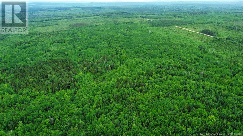 Harrison Settlement, Parkindale, New Brunswick  E4J 1P2 - Photo 24 - NB120698