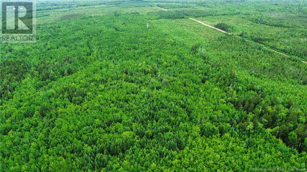 Harrison Settlement, Parkindale, New Brunswick  E4J 1P2 - Photo 25 - NB120698