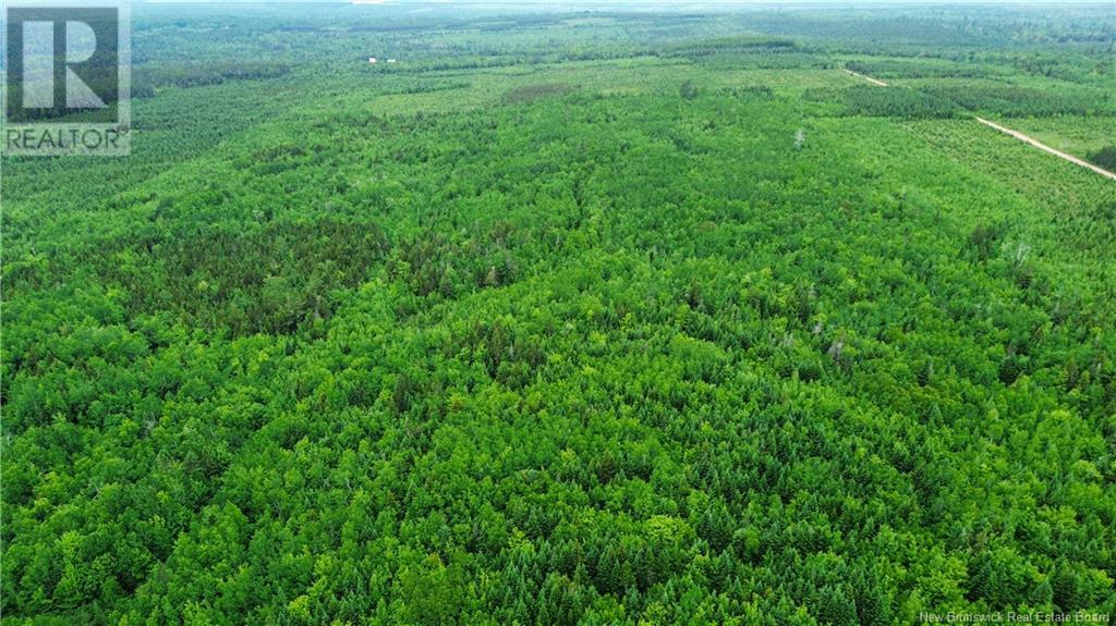 Harrison Settlement, Parkindale, New Brunswick  E4J 1P2 - Photo 26 - NB120698