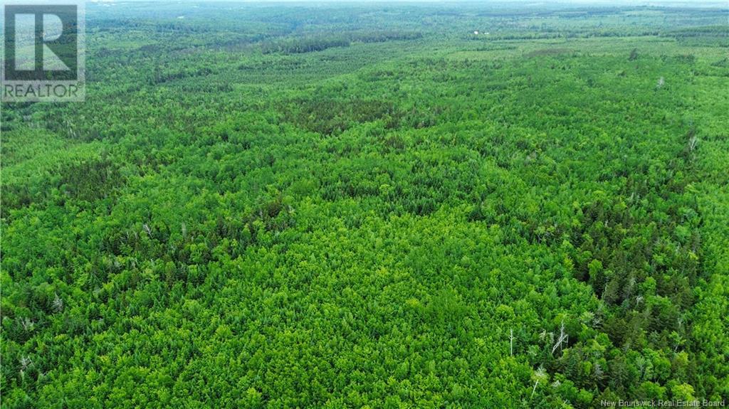 Harrison Settlement, Parkindale, New Brunswick  E4J 1P2 - Photo 27 - NB120698