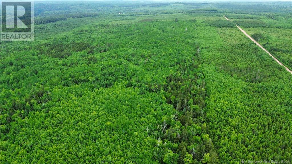Harrison Settlement, Parkindale, New Brunswick  E4J 1P2 - Photo 28 - NB120698