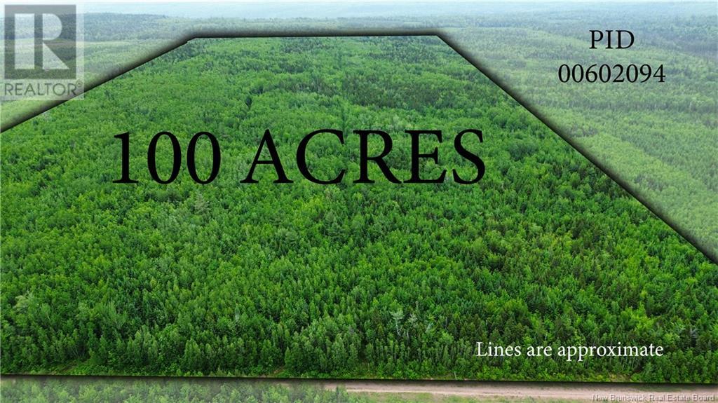 Harrison Settlement, Parkindale, New Brunswick  E4J 1P2 - Photo 3 - NB120698