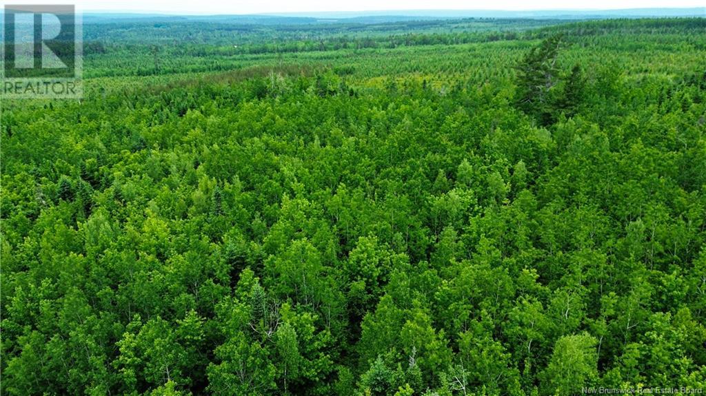 Harrison Settlement, Parkindale, New Brunswick  E4J 1P2 - Photo 30 - NB120698