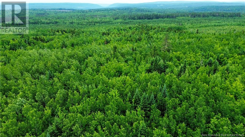 Harrison Settlement, Parkindale, New Brunswick  E4J 1P2 - Photo 31 - NB120698