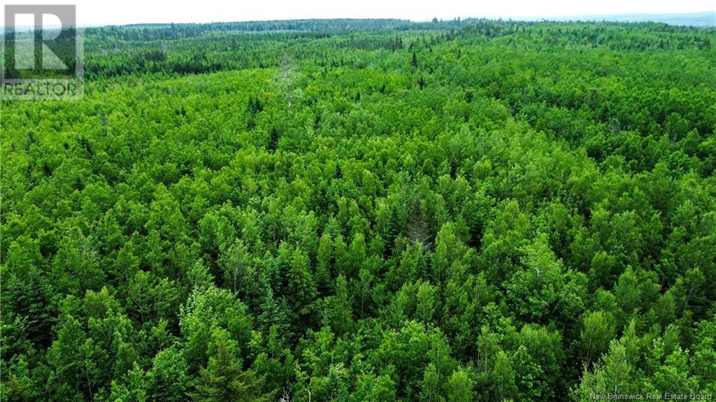 Harrison Settlement, Parkindale, New Brunswick  E4J 1P2 - Photo 32 - NB120698