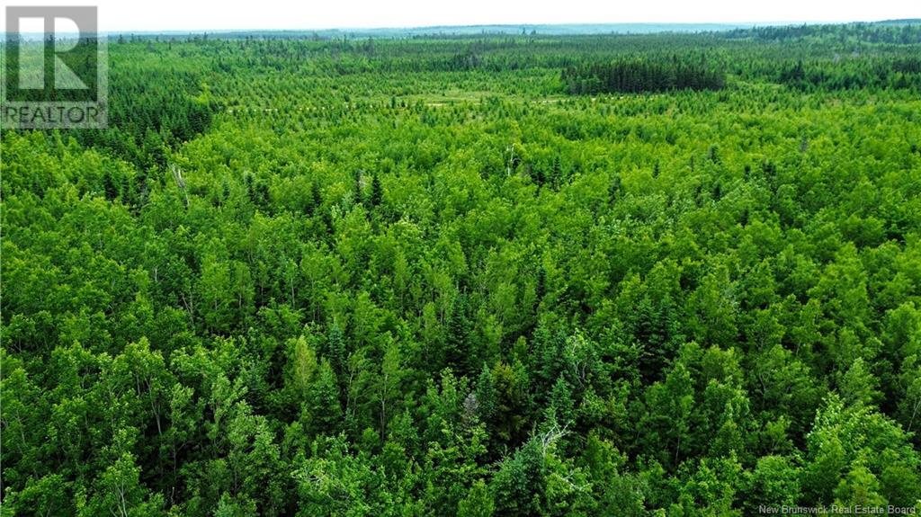 Harrison Settlement, Parkindale, New Brunswick  E4J 1P2 - Photo 33 - NB120698