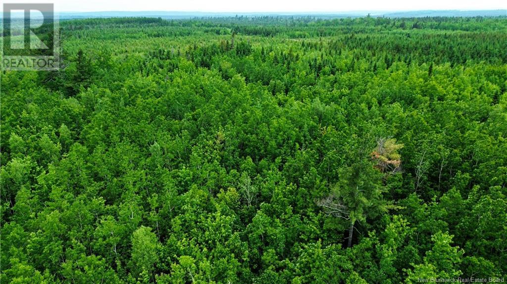 Harrison Settlement, Parkindale, New Brunswick  E4J 1P2 - Photo 34 - NB120698