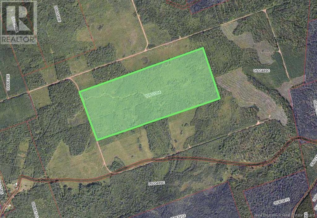 Harrison Settlement, Parkindale, New Brunswick  E4J 1P2 - Photo 35 - NB120698