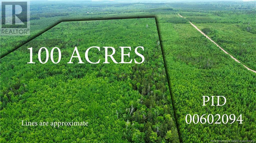 Harrison Settlement, Parkindale, New Brunswick  E4J 1P2 - Photo 4 - NB120698
