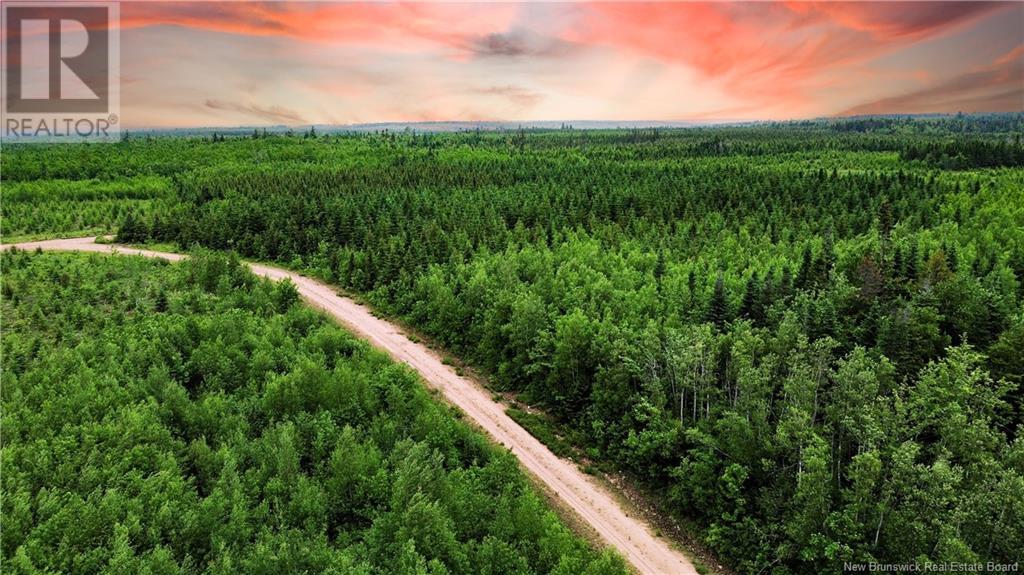 Harrison Settlement, Parkindale, New Brunswick  E4J 1P2 - Photo 8 - NB120698