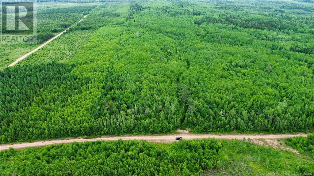 Harrison Settlement, Parkindale, New Brunswick  E4J 1P2 - Photo 9 - NB120698