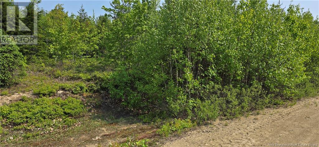4046sm Rue Noemie, Pointe-À-Tom, New Brunswick  E1X 3X4 - Photo 4 - NB120608