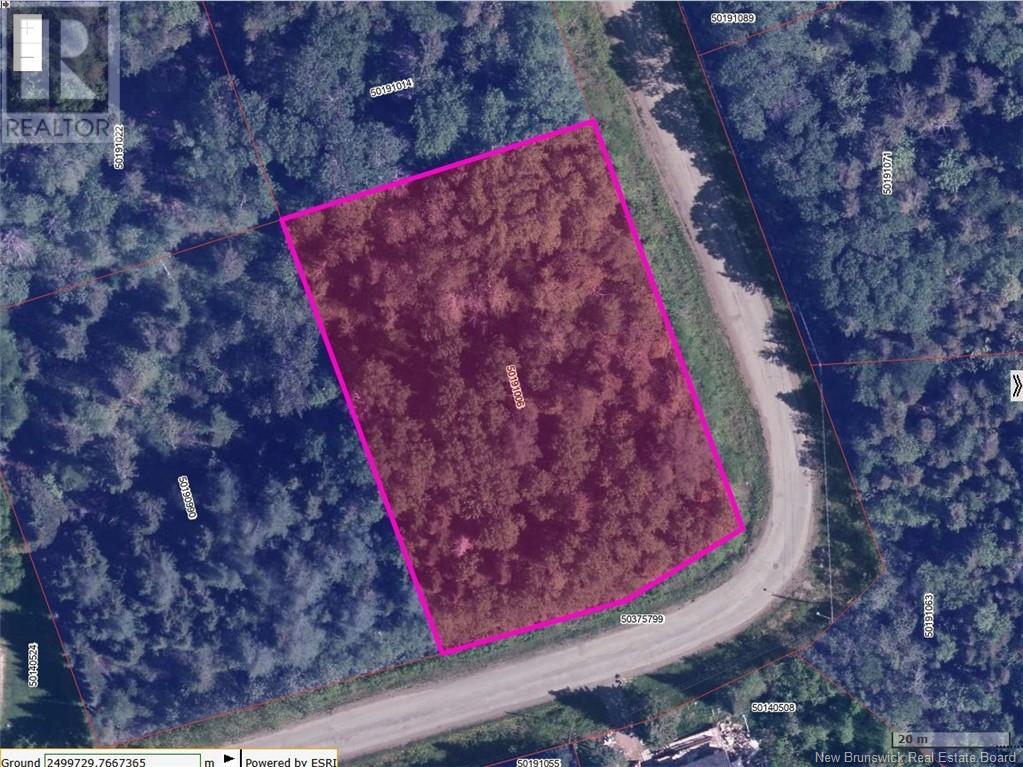 Lot Leonard Street, Dundee, New Brunswick  E8E 1W6 - Photo 4 - NB120745