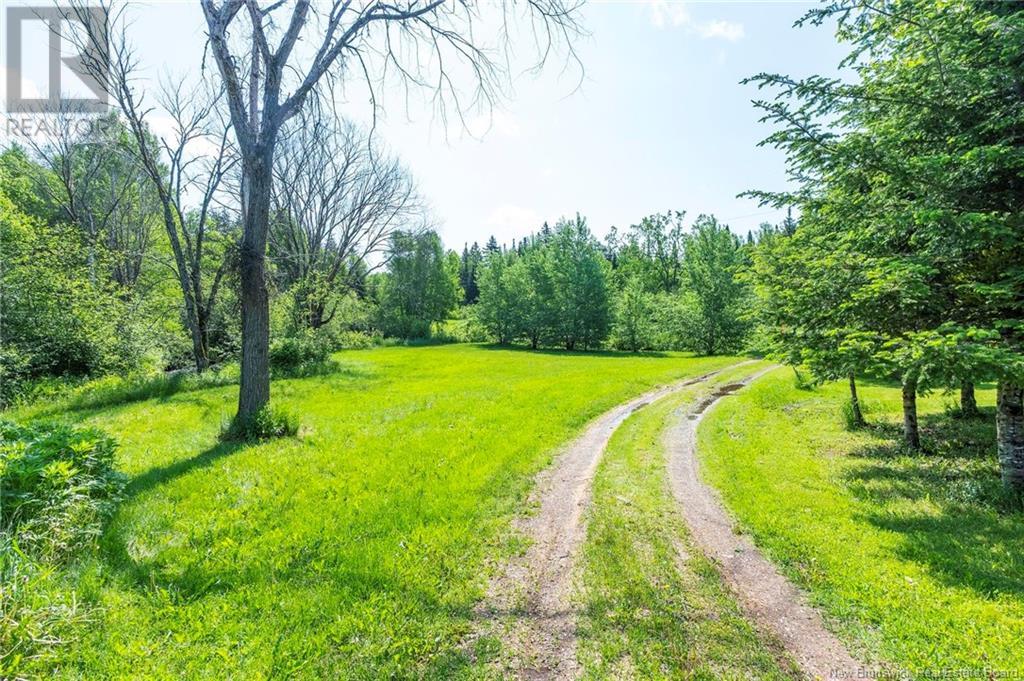 5359 Route 112, Havelock, New Brunswick  E4Z 6E3 - Photo 31 - NB120731