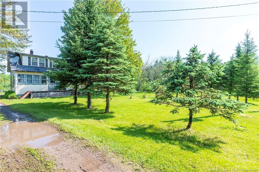 5359 Route 112, Havelock, New Brunswick  E4Z 6E3 - Photo 35 - NB120731