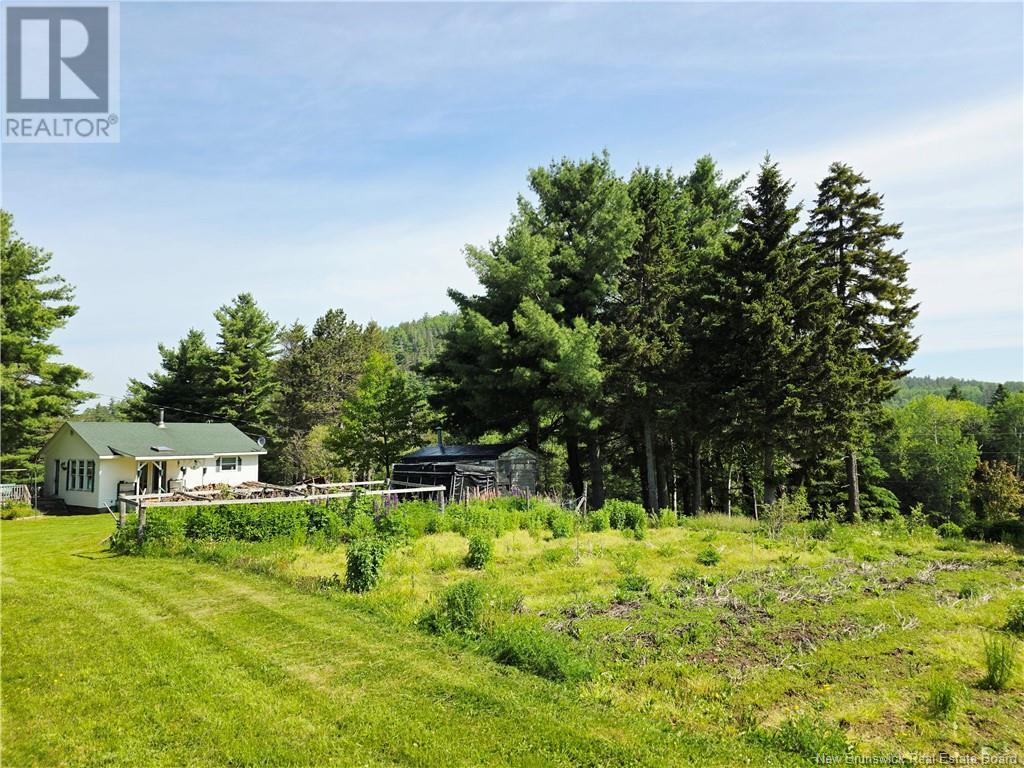 992 Prosser Brook Road, Prosser Brook, New Brunswick  E4Z 2G2 - Photo 14 - NB120648