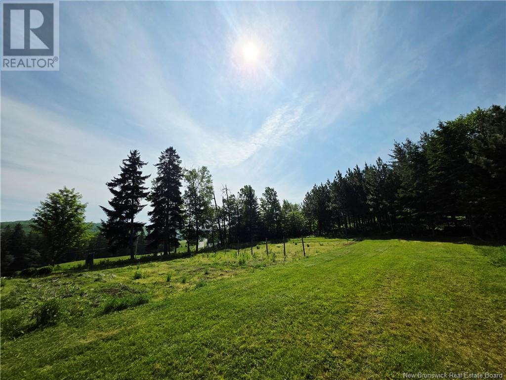 992 Prosser Brook Road, Prosser Brook, New Brunswick  E4Z 2G2 - Photo 21 - NB120648