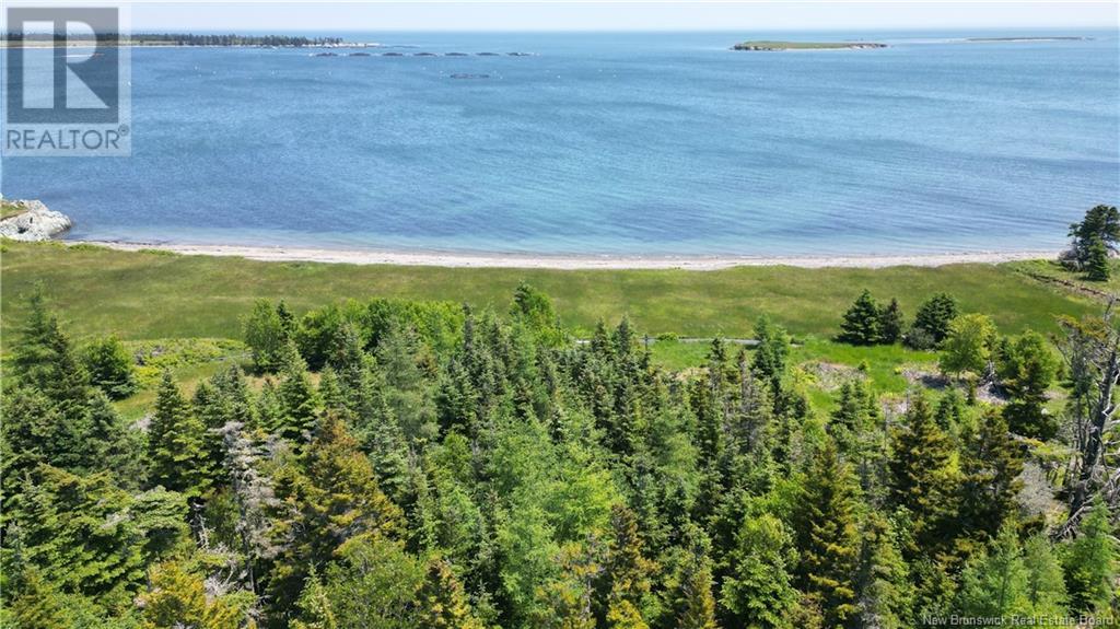 Bancroft Point Road, Grand Manan, New Brunswick  E5G 3C9 - Photo 6 - NB120773