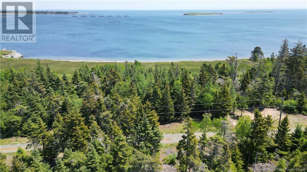 Bancroft Point Road, Grand Manan, New Brunswick  E5G 3C9 - Photo 7 - NB120773