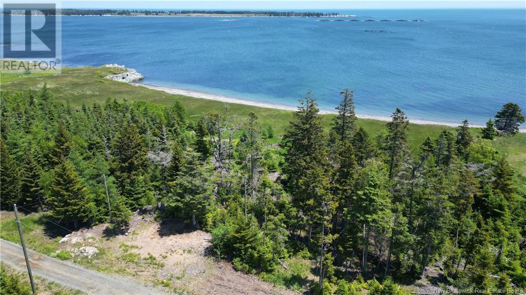 Bancroft Point Road, Grand Manan, New Brunswick  E5G 3C9 - Photo 8 - NB120773