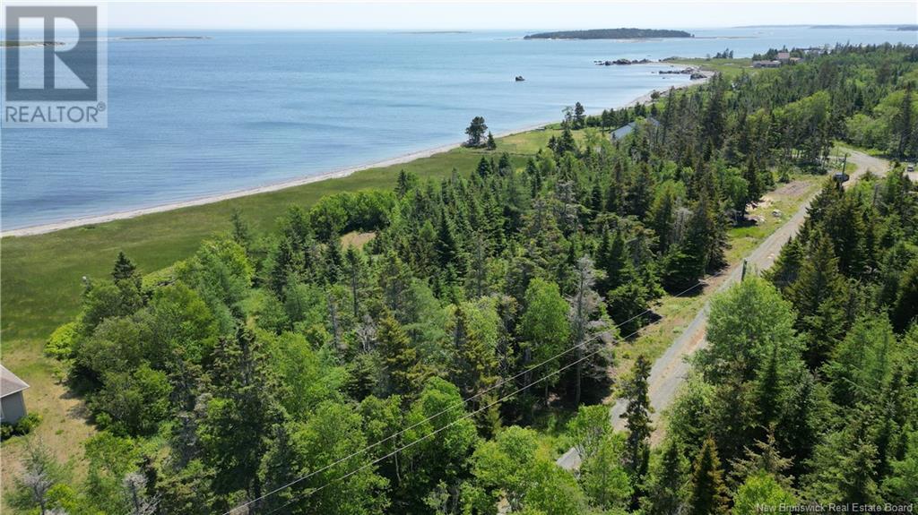 Bancroft Point Road, Grand Manan, New Brunswick  E5G 3C9 - Photo 9 - NB120773