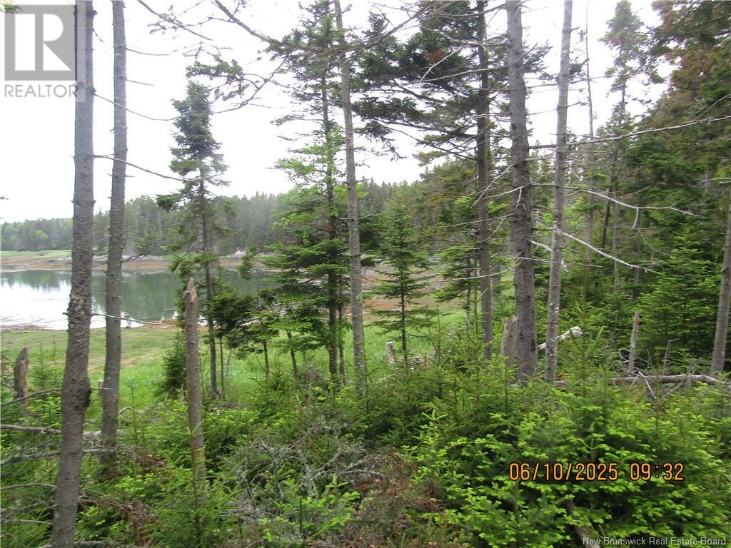 39 Meadowbrook Lane, L'etete, New Brunswick  E5C 2P2 - Photo 3 - NB120761