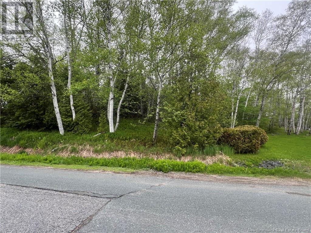 1920 Alex Anderson Avenue, Bathurst, New Brunswick  E2A 4Y2 - Photo 3 - NB120387