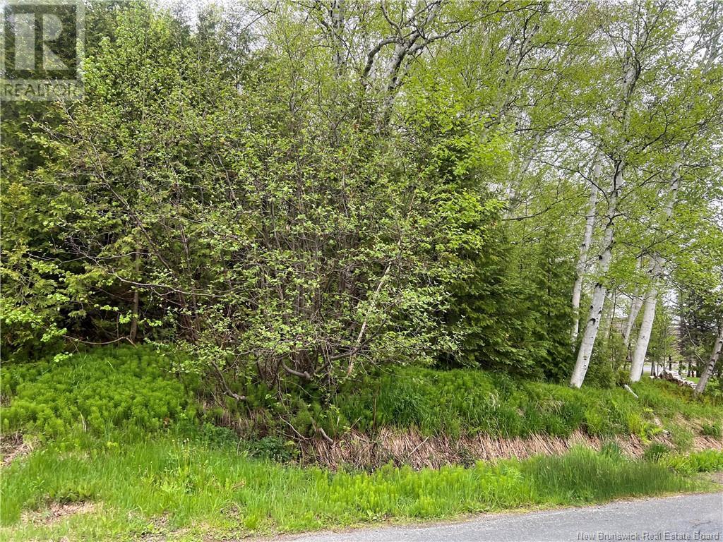 1920 Alex Anderson Avenue, Bathurst, New Brunswick  E2A 4Y2 - Photo 5 - NB120387