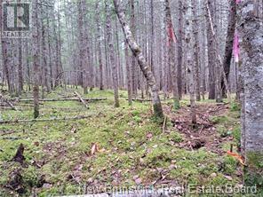 Lot 2022-2 Melanson Lane, Rusagonis, New Brunswick