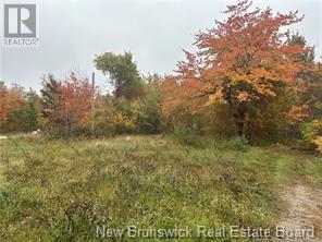 72 Old Harvey Road, Mcadam, New Brunswick  E6J 1B8 - Photo 2 - NB120785