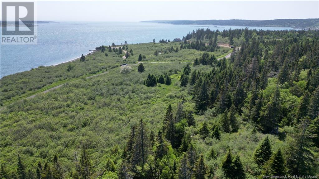 Red Point Road, Grand Manan Island, New Brunswick  E5G 4J3 - Photo 11 - NB120777